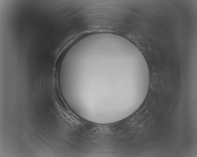 X0000074230194200608250825