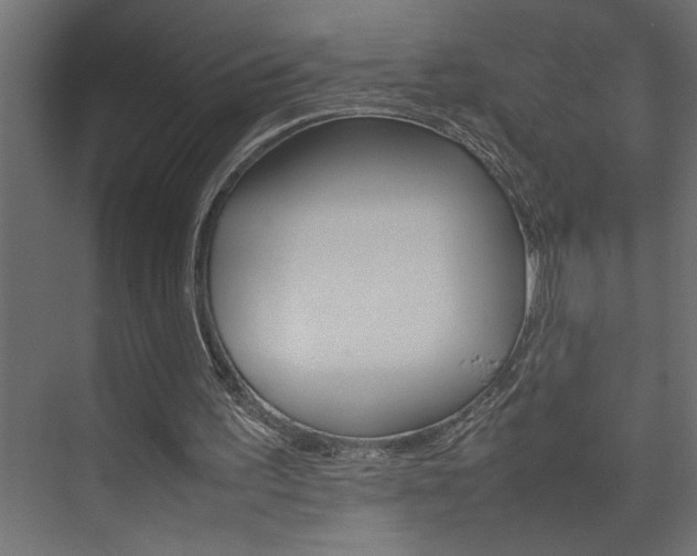 X0000074230195200608250825