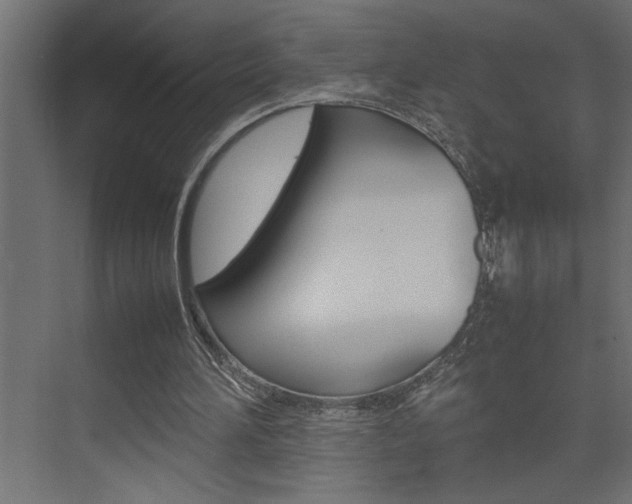 X0000074230196200608250825