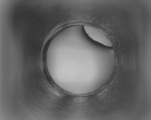 X0000074230198200608250825