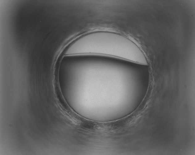 X0000074230199200608250825