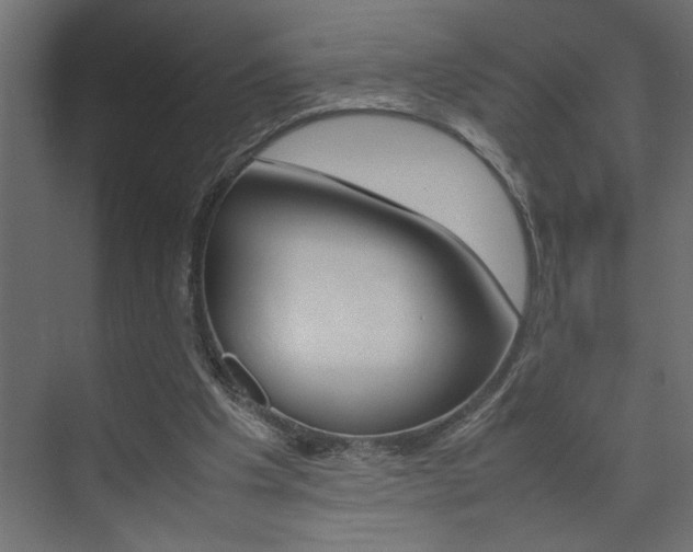 X0000074230201200608250825