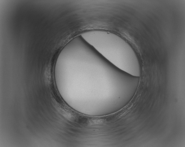 X0000074230202200608250825