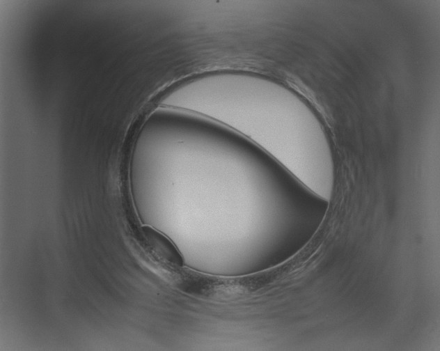 X0000074230203200608250825