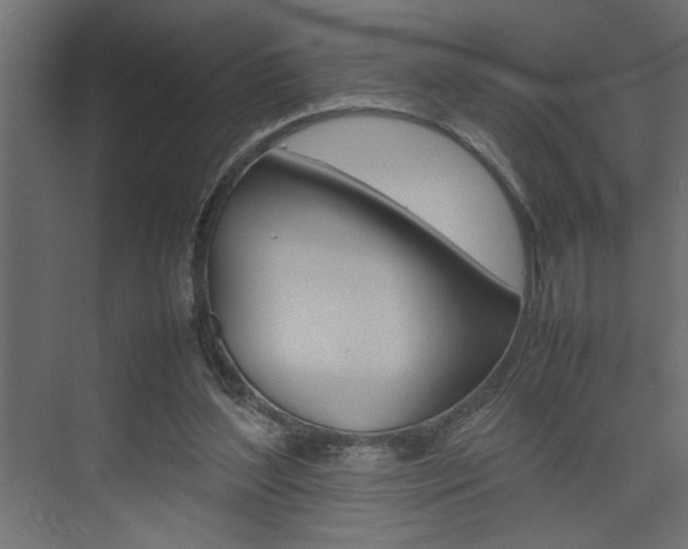 X0000074230204200608250825