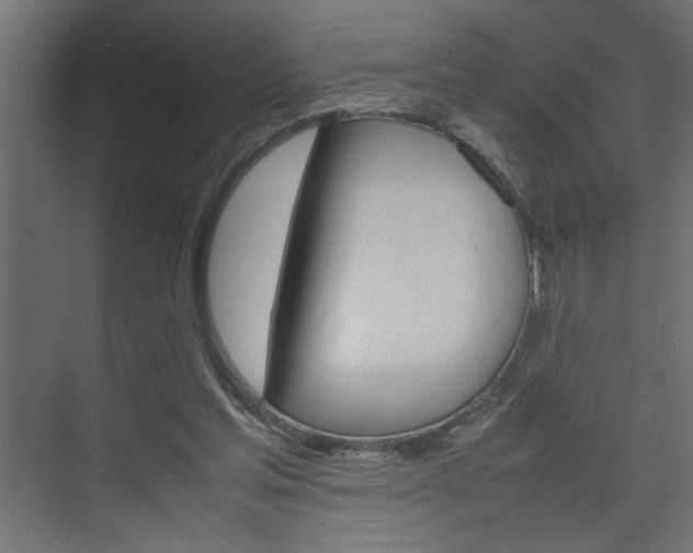 X0000074230205200608250825