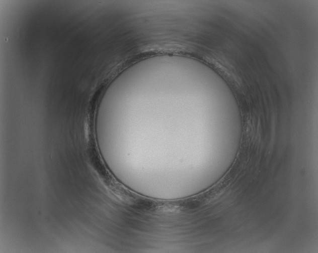 X0000074230206200608250825