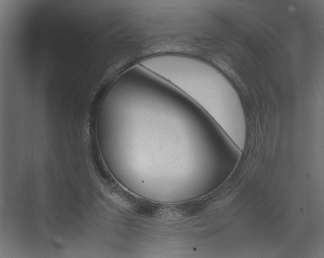 X0000074230207200608250825