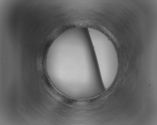 X0000074230209200608250825