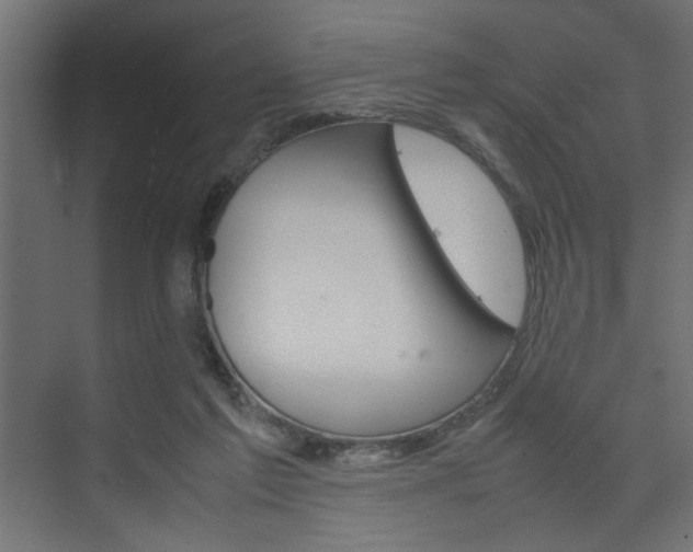 X0000074230213200608250825