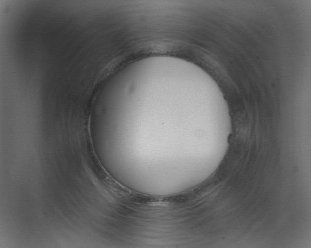 X0000074230216200608250825