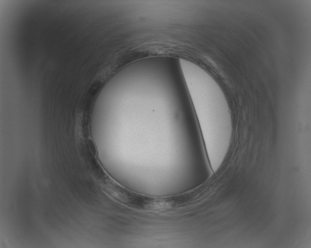 X0000074230217200608250825