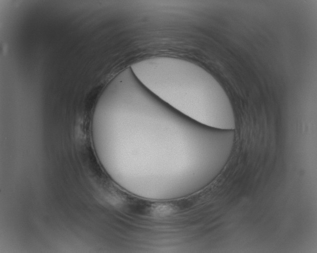 X0000074230218200608250825