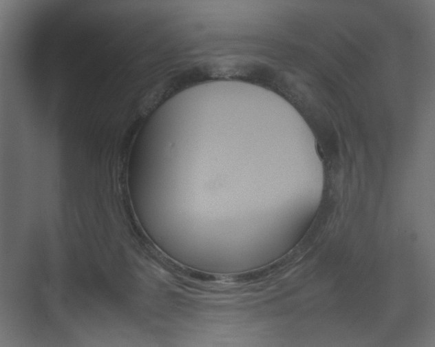 X0000074230219200608250825