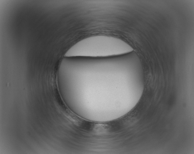 X0000074230222200608250824