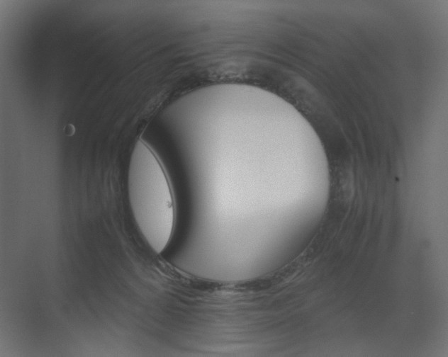 X0000074230224200608250824