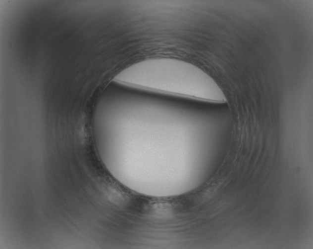 X0000074230228200608250824
