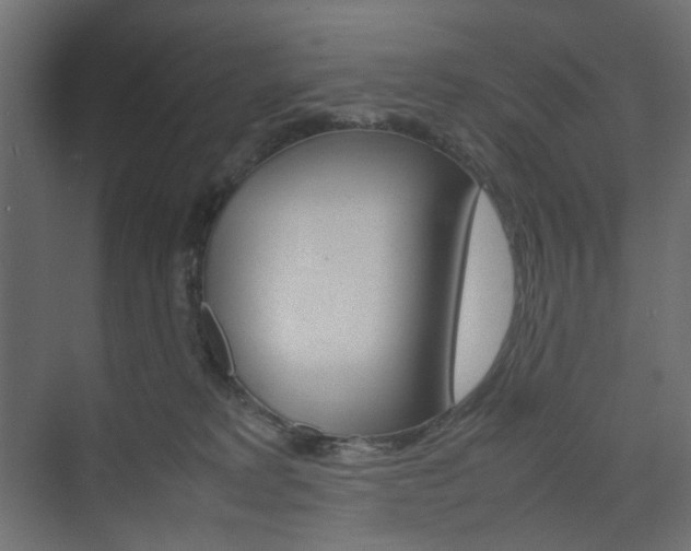 X0000074230229200608250824