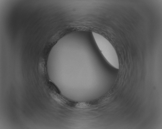 X0000074230231200608250824