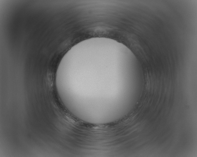 X0000074230232200608250824