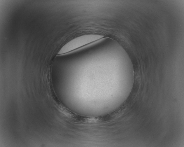 X0000074230233200608250824