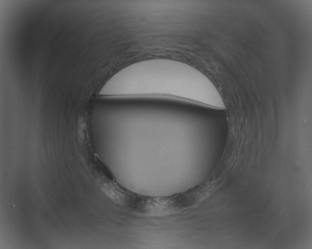 X0000074230235200608250824