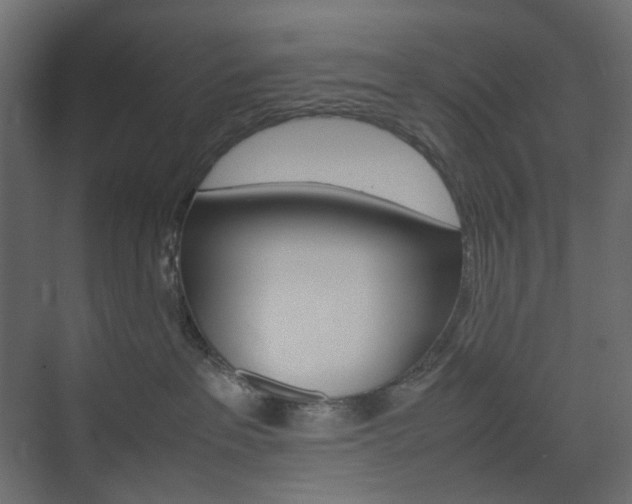 X0000074230237200608250824