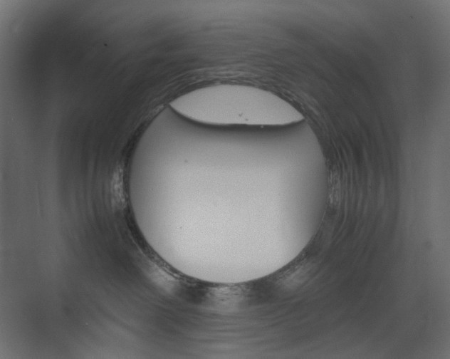 X0000074230238200608250824