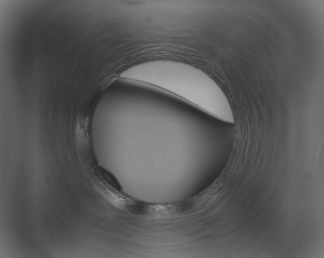 X0000074230239200608250824