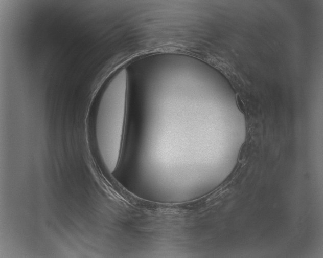X0000074230242200608250823