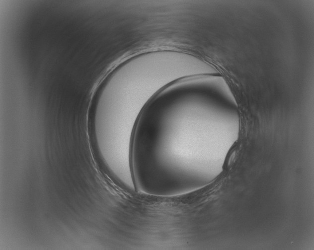 X0000074230244200608250823