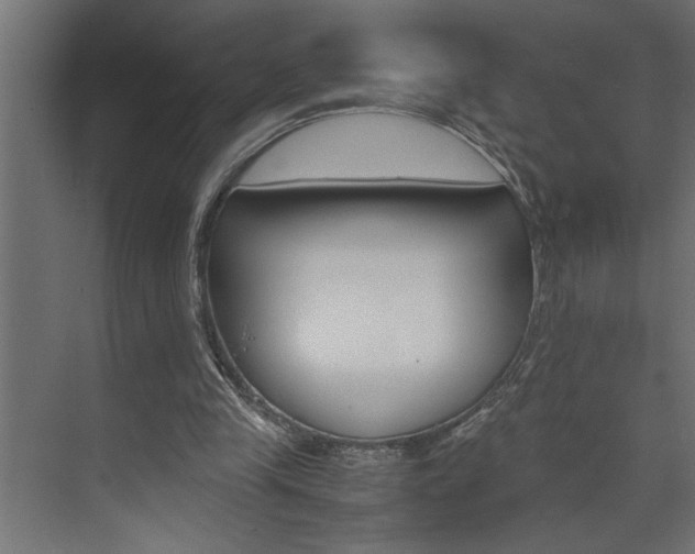 X0000074230245200608250823