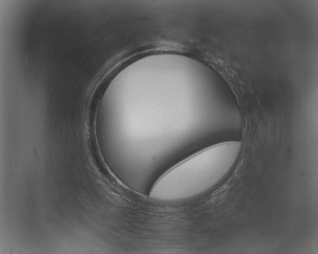 X0000074230247200608250823