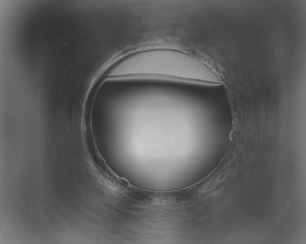 X0000074230248200608250823