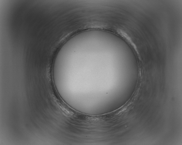 X0000074230249200608250823