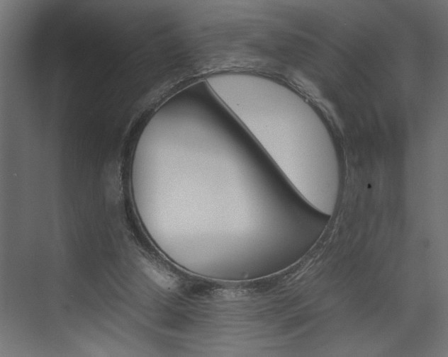 X0000074230250200608250824