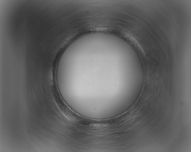 X0000074230251200608250824