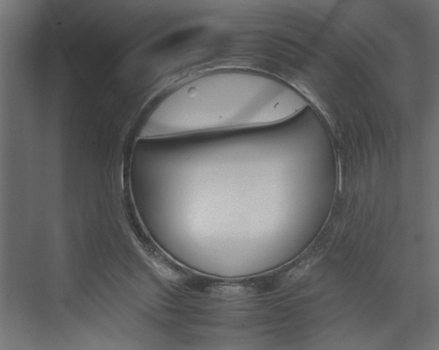 X0000074230253200608250824