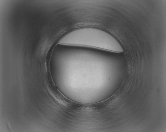 X0000074230254200608250824