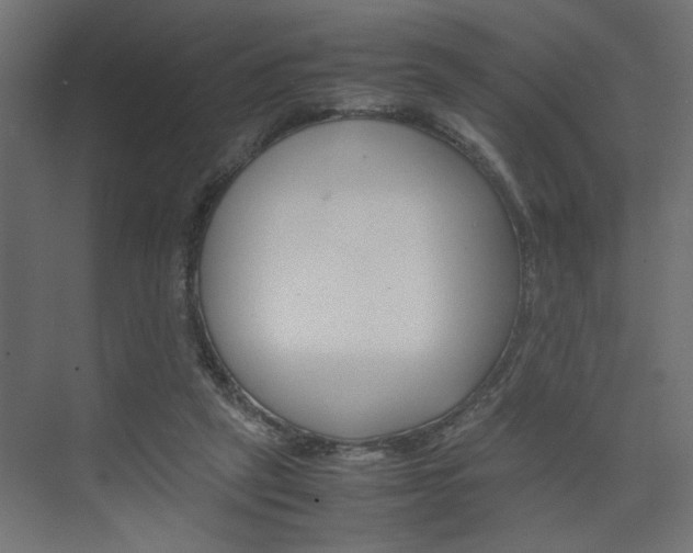 X0000074230257200608250824