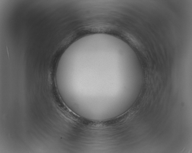 X0000074230258200608250824