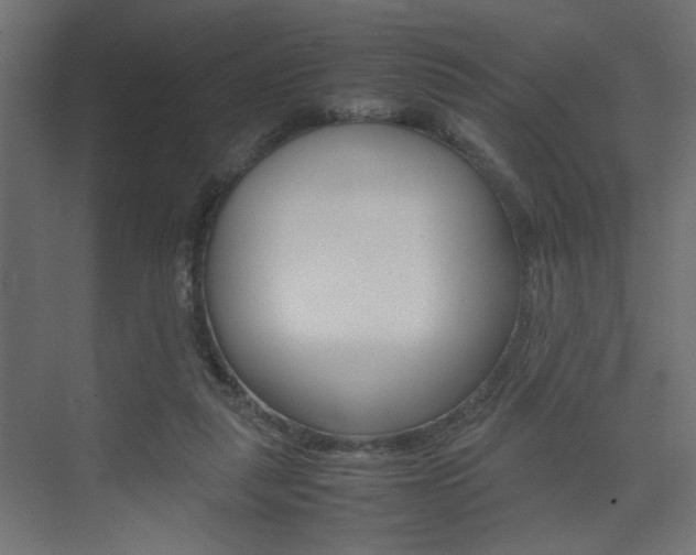 X0000074230259200608250824