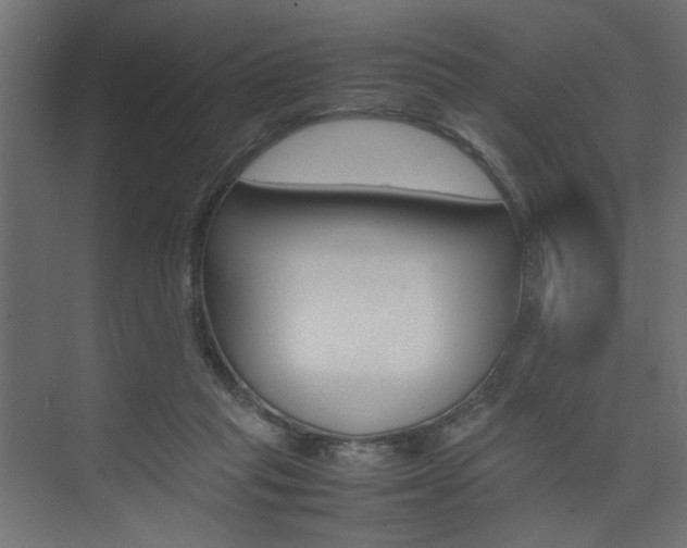 X0000074230261200608250824