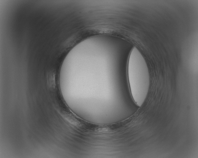 X0000074230262200608250824