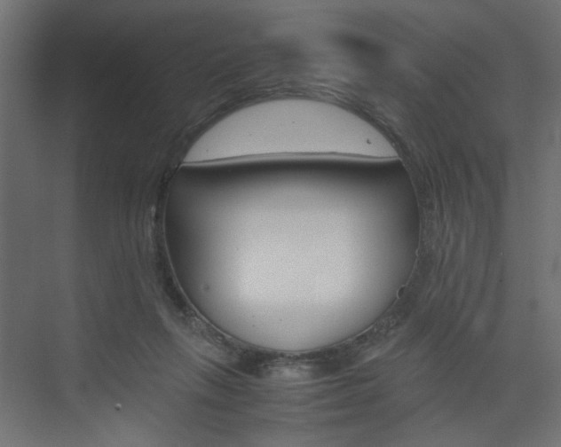 X0000074230263200608250824