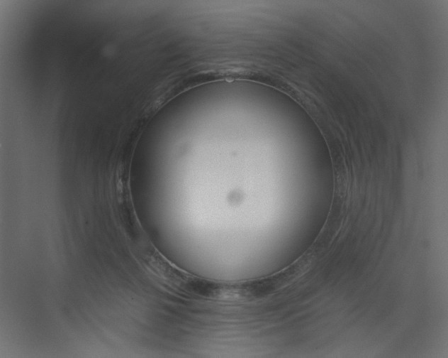 X0000074230264200608250824