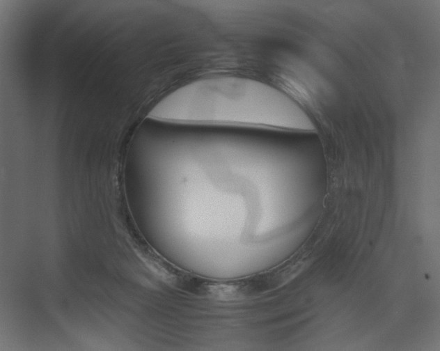 X0000074230265200608250824