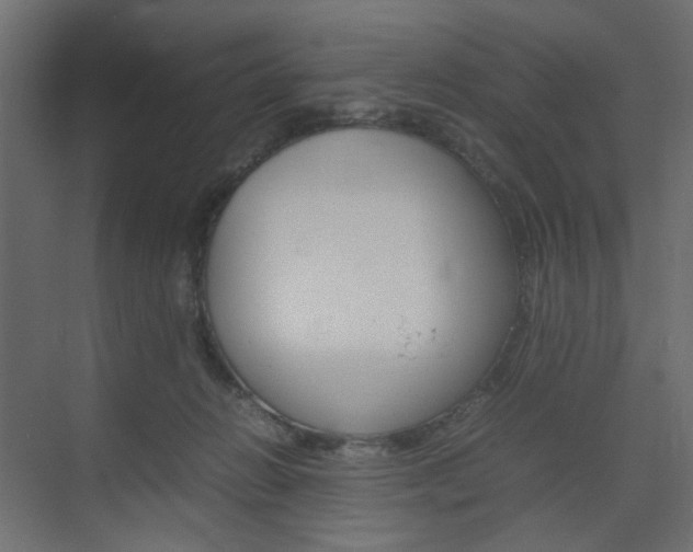 X0000074230270200608250824