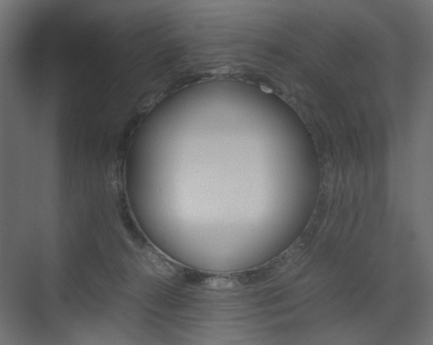X0000074230272200608250824