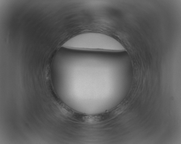 X0000074230273200608250824